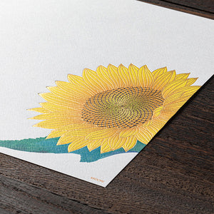 Seasonal Paper Summer 2024 Letterpad - Sunflower