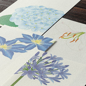 Seasonal Paper Summer 2024 Message Letterpad - Summer Flowers